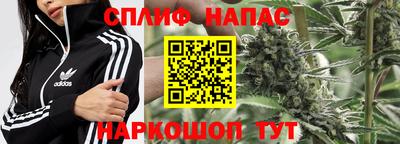 ПСИЛОЦИБИНОВЫЕ ГРИБЫ Шебекино