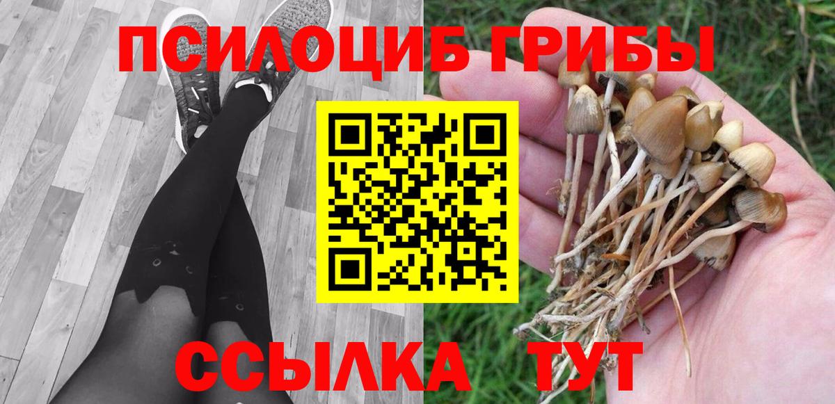Галлюциногенные грибы Cubensis  Вход с VPN  Искитим 